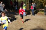 IronMan101031030170_small.jpg (3946 Byte)