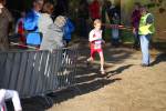 IronMan101031030189_small.jpg (3698 Byte)