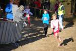 IronMan101031030191_small.jpg (3857 Byte)