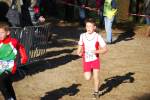 IronMan101031030100_small.jpg (3932 Byte)