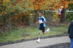 IronMan101031040126_small.jpg (3946 Byte)