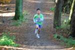 IronMan101031040151_small.jpg (3857 Byte)