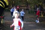 IronMan101031040100_small.jpg (3932 Byte)