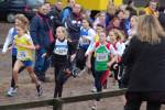 Deurne101212010103_small.jpg (3857 Byte)