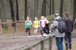 Deurne101212010108_small.jpg (3932 Byte)