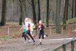 Deurne101212010109_small.jpg (3698 Byte)