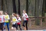 Deurne101212010116_small.jpg (3932 Byte)