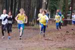 Deurne101212010204_small.jpg (3932 Byte)