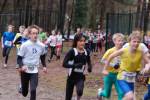 Deurne101212010210_small.jpg (3946 Byte)