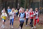 Deurne101212010215_small.jpg (3857 Byte)