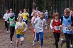 Deurne101212010216_small.jpg (3932 Byte)