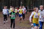 Deurne101212010217_small.jpg (3698 Byte)