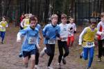 Deurne101212010219_small.jpg (3857 Byte)