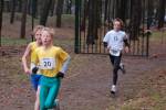 Deurne101212010262_small.jpg (3946 Byte)