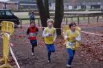 Deurne101212010298_small.jpg (3946 Byte)