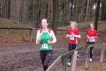 Deurne101212020228_small.jpg (3932 Byte)