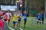 Someren110109010106_small.jpg (3946 Byte)