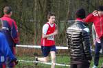 Someren110109010138_small.jpg (3946 Byte)