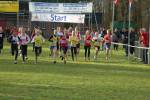 Someren110109010216_small.jpg (3932 Byte)