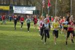 Someren110109010219_small.jpg (3857 Byte)