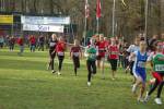 Someren110109010221_small.jpg (3698 Byte)