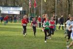 Someren110109010222_small.jpg (3946 Byte)