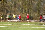 Someren110109010228_small.jpg (3932 Byte)