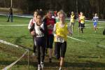 Someren110109010238_small.jpg (3946 Byte)