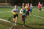 Someren110109010241_small.jpg (3698 Byte)