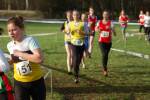 Someren110109010244_small.jpg (3932 Byte)