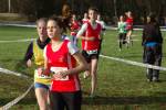 Someren110109010247_small.jpg (3857 Byte)