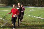 Someren110109010258_small.jpg (3946 Byte)