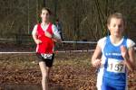 Someren110109010281_small.jpg (3698 Byte)