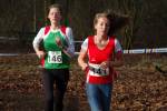 Someren110109010289_small.jpg (3698 Byte)