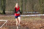 Someren110109010290_small.jpg (3946 Byte)