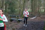 Someren110109010313_small.jpg (3698 Byte)