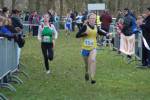 Someren110109010388_small.jpg (3932 Byte)