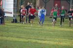 Someren110109020021_small.jpg (3698 Byte)