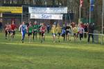 Someren110109020026_small.jpg (3946 Byte)