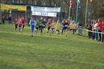 Someren110109020007_small.jpg (3857 Byte)