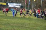 Someren110109020028_small.jpg (3932 Byte)