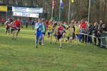 Someren110109020029_small.jpg (3698 Byte)