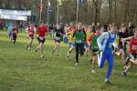 Someren110109020031_small.jpg (3857 Byte)