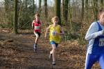 Someren110109020040_small.jpg (3932 Byte)