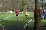 Someren110109020117_small.jpg (3698 Byte)