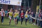 Someren110109020230_small.jpg (3946 Byte)