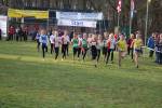 Someren110109020234_small.jpg (3946 Byte)