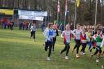 Someren110109020237_small.jpg (3698 Byte)