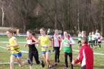 Someren110109020245_small.jpg (3698 Byte)