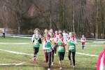 Someren110109020250_small.jpg (3946 Byte)